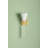 Amara 1 Light Wall Sconce