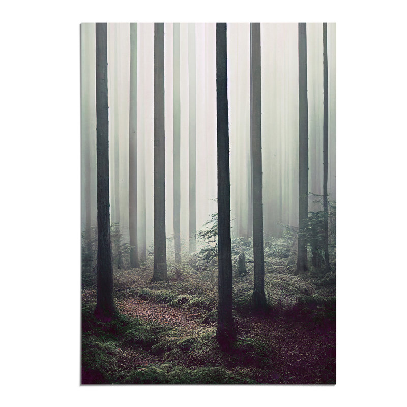 A Quiet Forest - Wall Art, Paper, 42cm H x 29.7cm W, No Matte