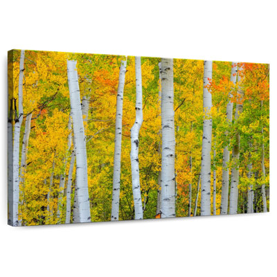 Arbres Telluride d'Alvord