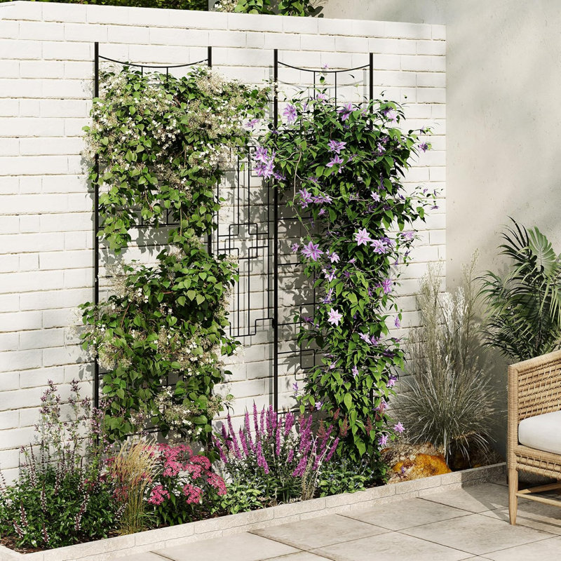Rustproof Baroque Iron Trellis & Decorative Garden Fence Panels – 1.6FT Tall Plant Support for Climbing Flowers, Roses, Vegetables – Outdoor Yard Edge – Black, 2 Sets
