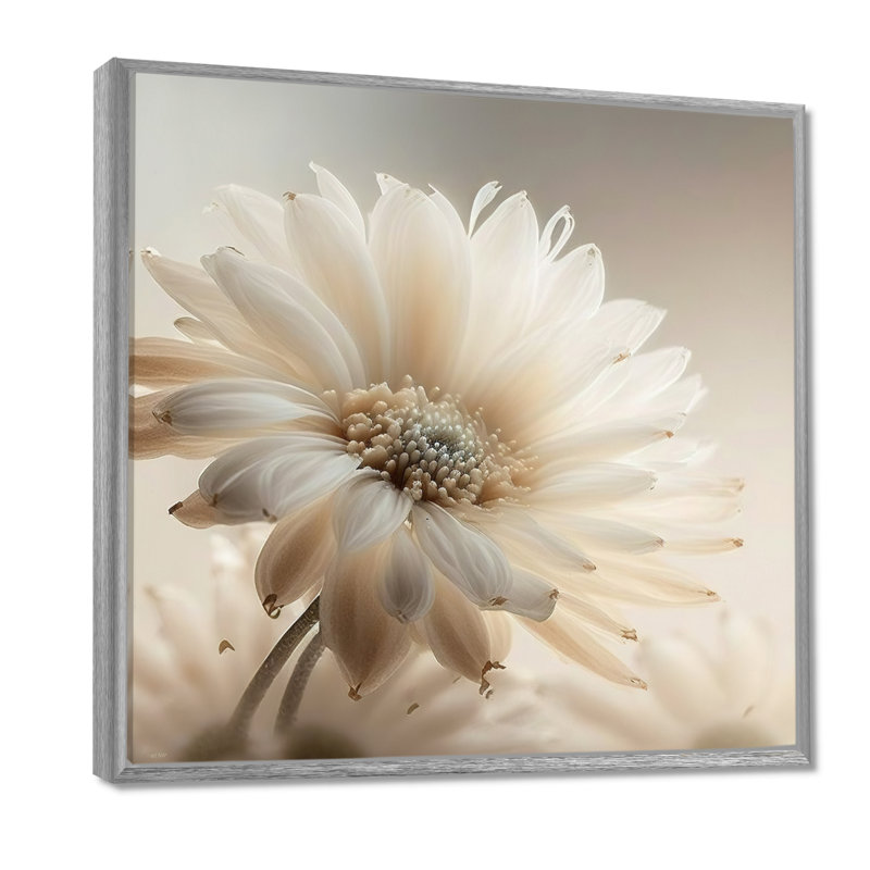 Art sur toile Gerbera blanc III - Gerbera, H 24 po x l 24 po, Encadrement argenté