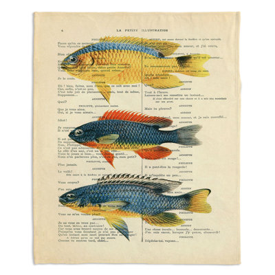 Couverture de poisson 