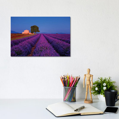 France, Provence. Lavender Field In The Valensole Plateau. by Jaynes Gallery - Wrapped Canvas Print