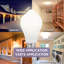 60 Watts Equivalent A19 Pir Motion Activated Led Light Bulb Non-Dimmable 800 Lumen 3000K Bright White (6-Pack)