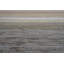 Tarrant Striped Area Rug-350134375
