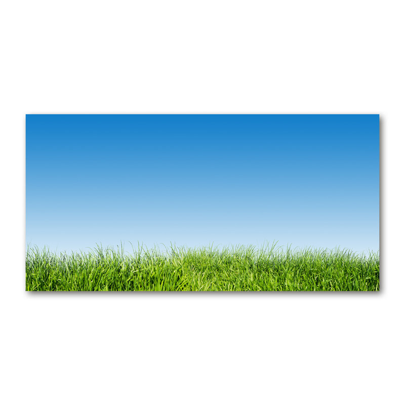 Loehrke 50cm W x 100cm L Glass Peel and Stick Panel