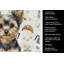 Torchon noir et brun clair Yorkshire Terrier-1234934643