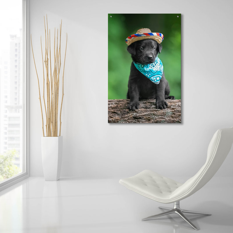 «Black Lab Pup 6» par Jonathan Ross, H 36 po x l 24 po x P 0,2 po