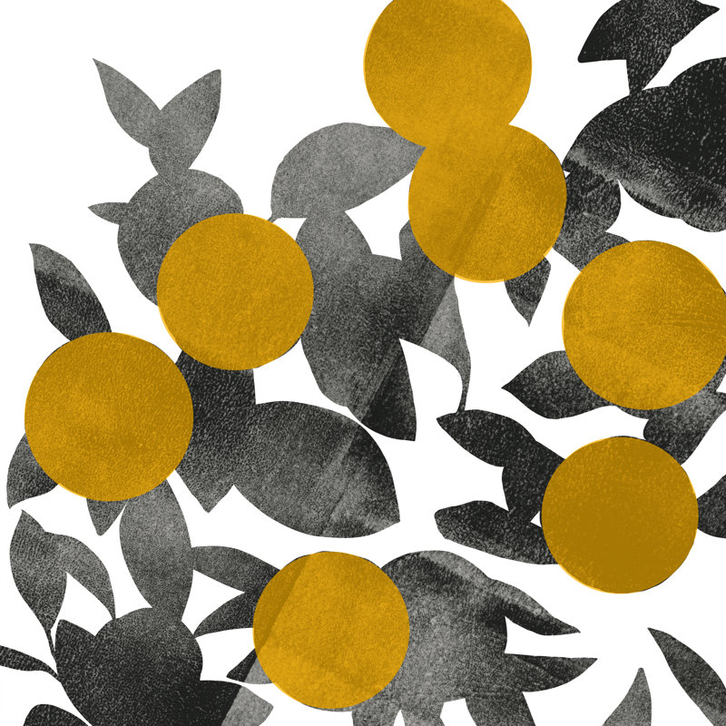 Shadow Branch II by Emma Scarvey - Wrapped Canvas Print, 51cm H x 51cm W x 3.8cm D