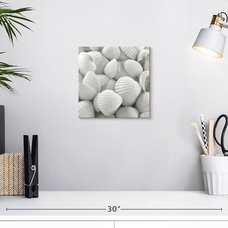 Aletra White Shells, 10" H x 10" W
