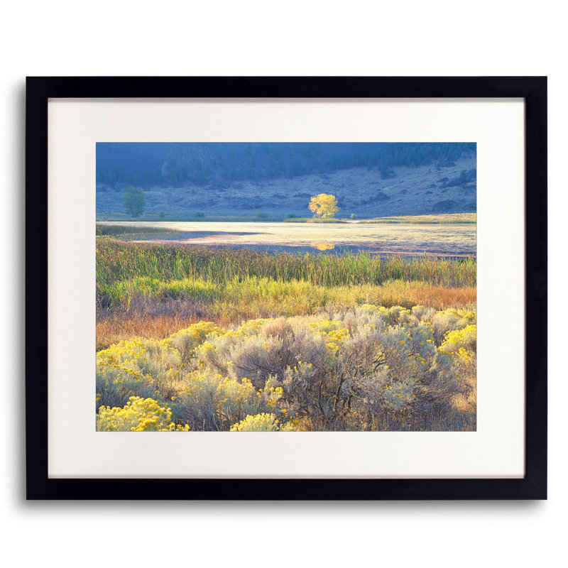 Banks Lake Autumn Meadow Print by Bruce Heinemann, Black Framed Paper, 20" H x 16" W
