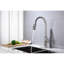 Robinet de cuisine avec douchette extractible