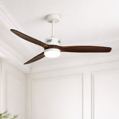 Ventilateur de plafond moderne à 3 pales de 52 po avec ensemble d'éclairage et télécommande AuraVista