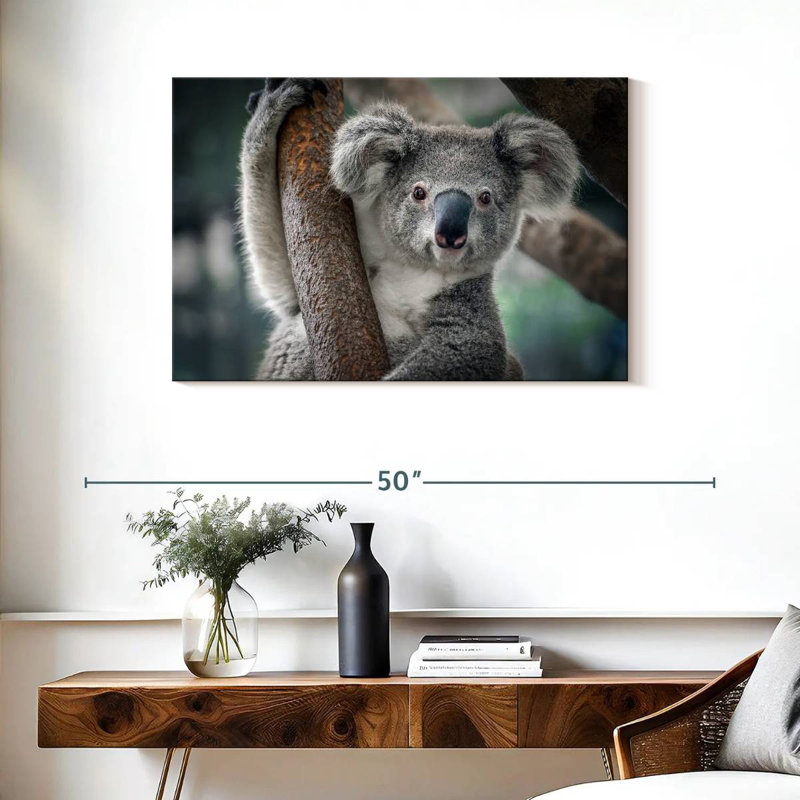 Brampt Happy Koala