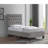 Kayden Upholstered Standard Bed-957930521-948152325