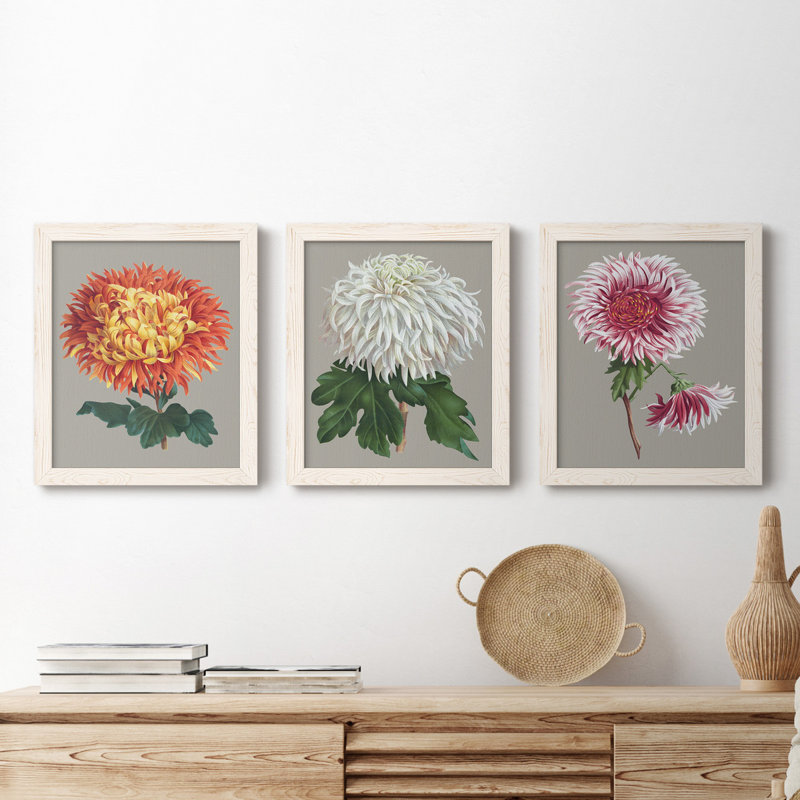Chrysanthemum On Grey I - Ensemble de 3 peintures sur toile encadrées, Blanc, H 20 po x l 51 po x P 1,5 po