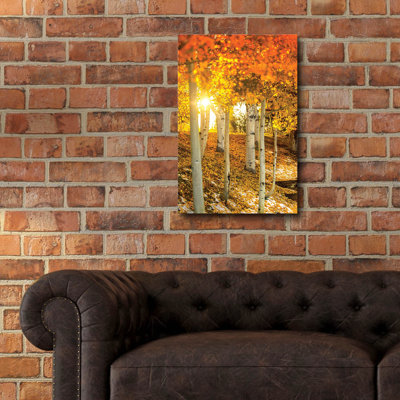 " Aspen Glow " Print