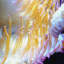 Print on Canvas-24032552
