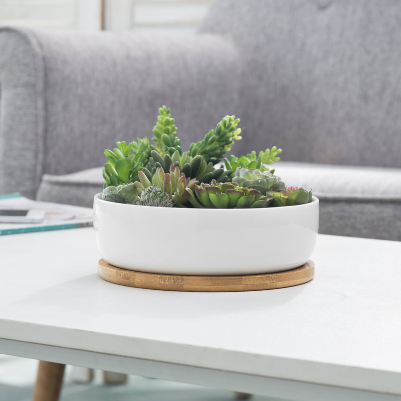 Pot Planter