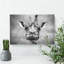 Wonderful Giraffe - Wrapped Canvas-56644929