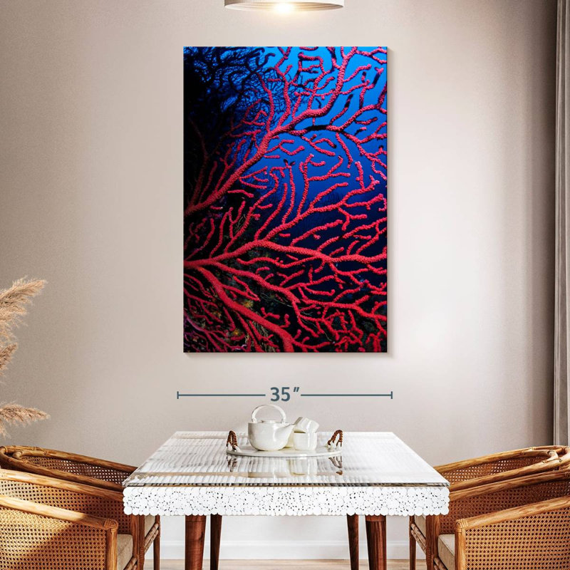 Brampt Violescent Sea Whip, 51" H x 34" W