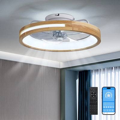 20'' Farmhouse Reversible LED Caged Ceiling Fan with Light Kit And Remote
