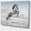 Photographie d'un cheval blanc au galop-35105337-35105343