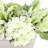 Assorted Hydrangea and Heather Arrangement-169039035