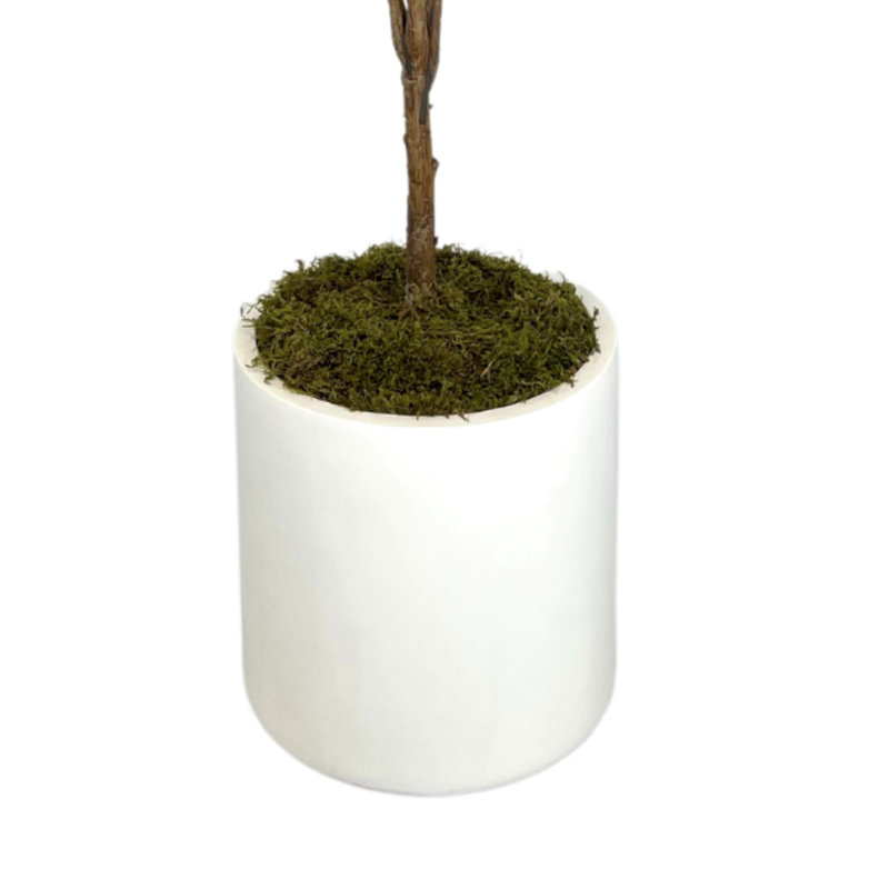 Organic Modern 4' Faux Fiddle Leaf Tree