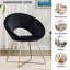 Zed 68cm Wide Velvet Papasan Chair-45056211-49351483