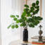 Artificial Dans Leaf Branch-927218159-908537643