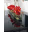 Driftwood Cymbidium Orchids Centerpiece in Glass Planter-1216674884-1216674882