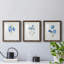 " Blue Blossom Botanical I " 3 - Pieces Painting Print-1570838837-1570838836