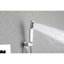 Ensemble de fixation murale de pomme de douche 12 ", fabriqué en laiton et en acier inoxydable, offrant une douche confortable, une fonction autonettoyante, un ensemble d'accessoires essentiels, une finition et une finition-117092714