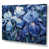 Toile tendue