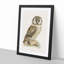 Boreal Owl by Von Wright - Picture Frame Painting Print-55513091-55513092