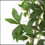 ARBRE À PIERIS 120CMTIFTIFS