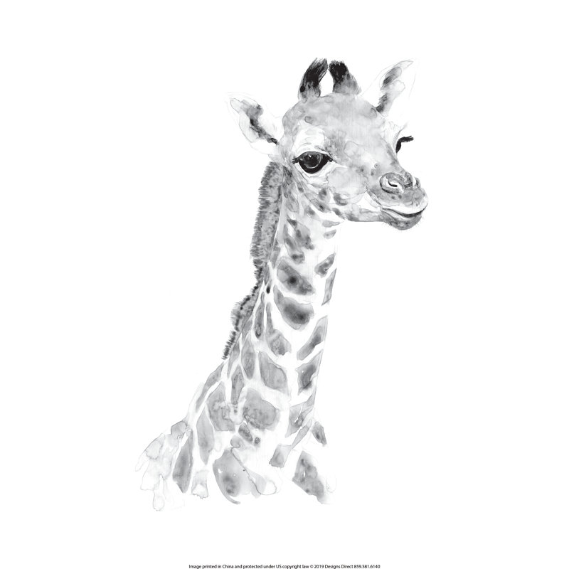 Grey Baby Giraffe - Wrapped Canvas Print, 122cm H x 122cm W x 3.8cm D