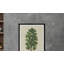 Meadow Tree Print by Tim Klein