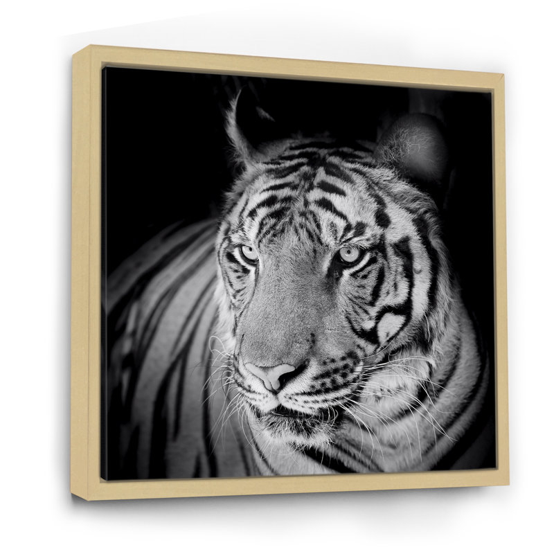 Impression monochrome sur toile, Portrait monochrome d'un tigre blanc VI, H 30 po x l 30 po x P 1 po