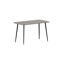 Metal Base Dining Table