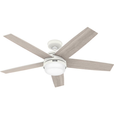 Hunter 52 inch Damp Rated Ceiling Fan with LED Light Kit and Handheld Remote