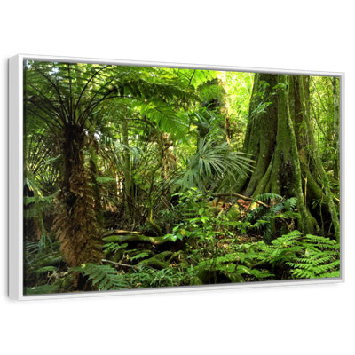 Jungle Ferns Forest
