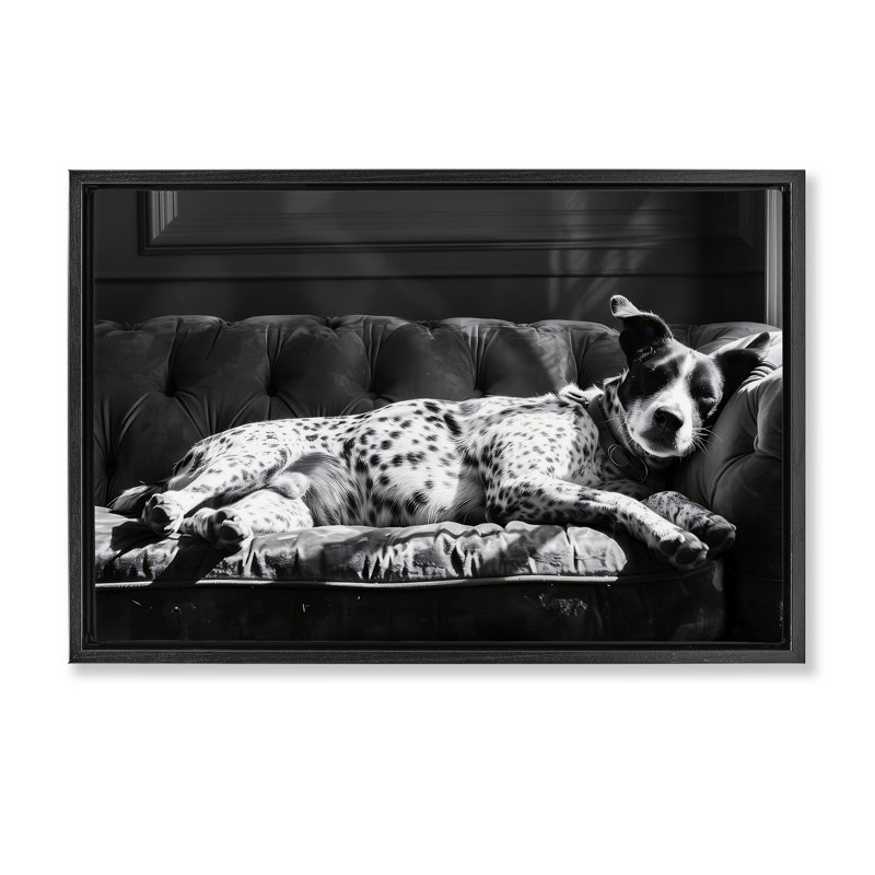 «Lounging Dog in Sun», art mural encadré flottant par LSR Creative Studio, Cadre flottant noir de jais, H 17 po x l 25 po