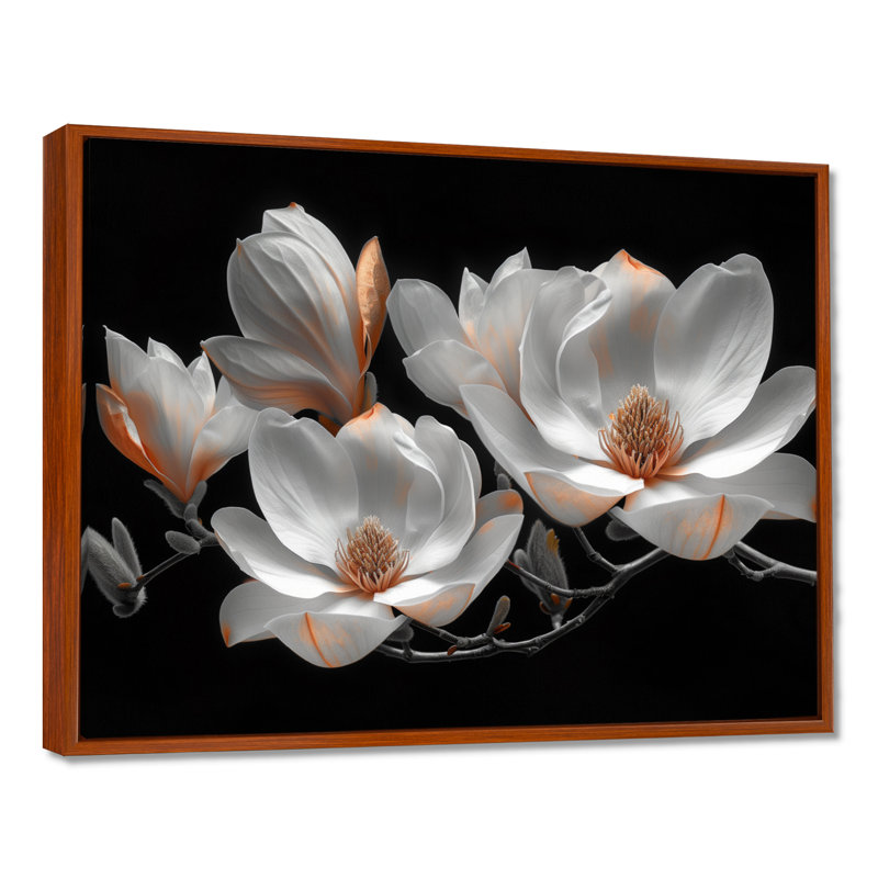 Blanc, blanc, élégant, emblème, photo de magnolias - salon d'art mural Magnolias, Cadre flottant brun, H 12 po x l 20 po