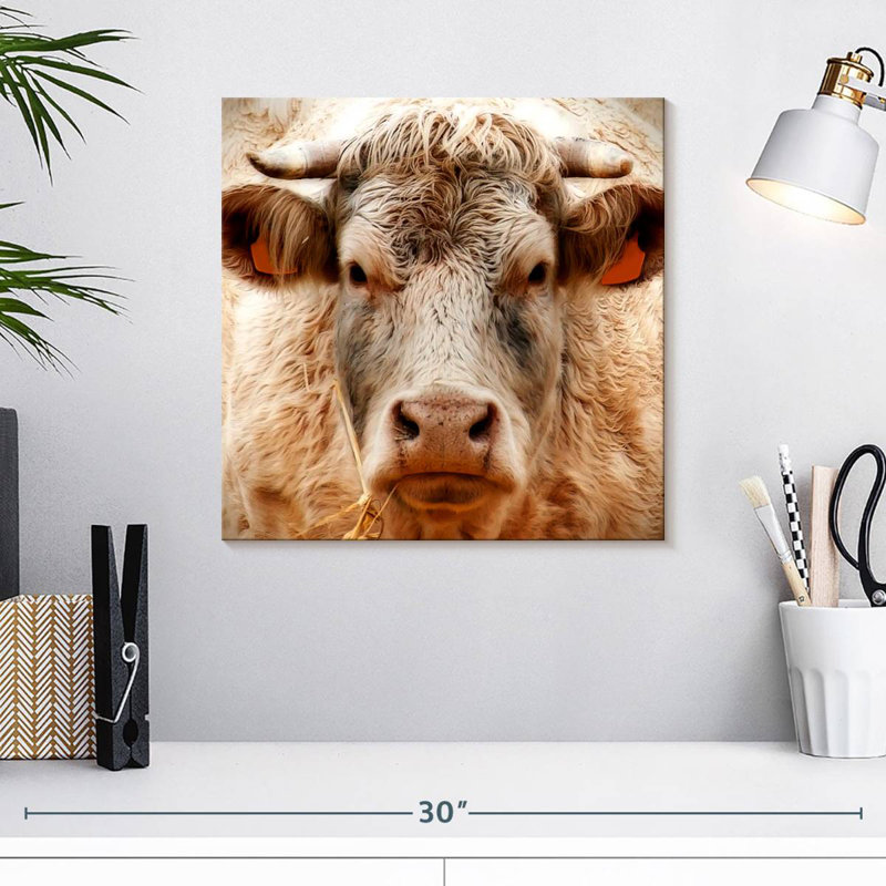 Brampt Mighty Bull