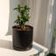 Pot de fleurs en céramique avec trou de drainage et soucoupe-581176507-581176500