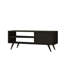 Stacie Unfinished TV Stand for TVs up to 49"-1223110122