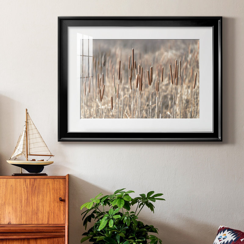 Summer Tails - Photographie avec cadre photo, H 30,5 po x l 42,5 po x P 1,5 po, Papier avec cadre noir