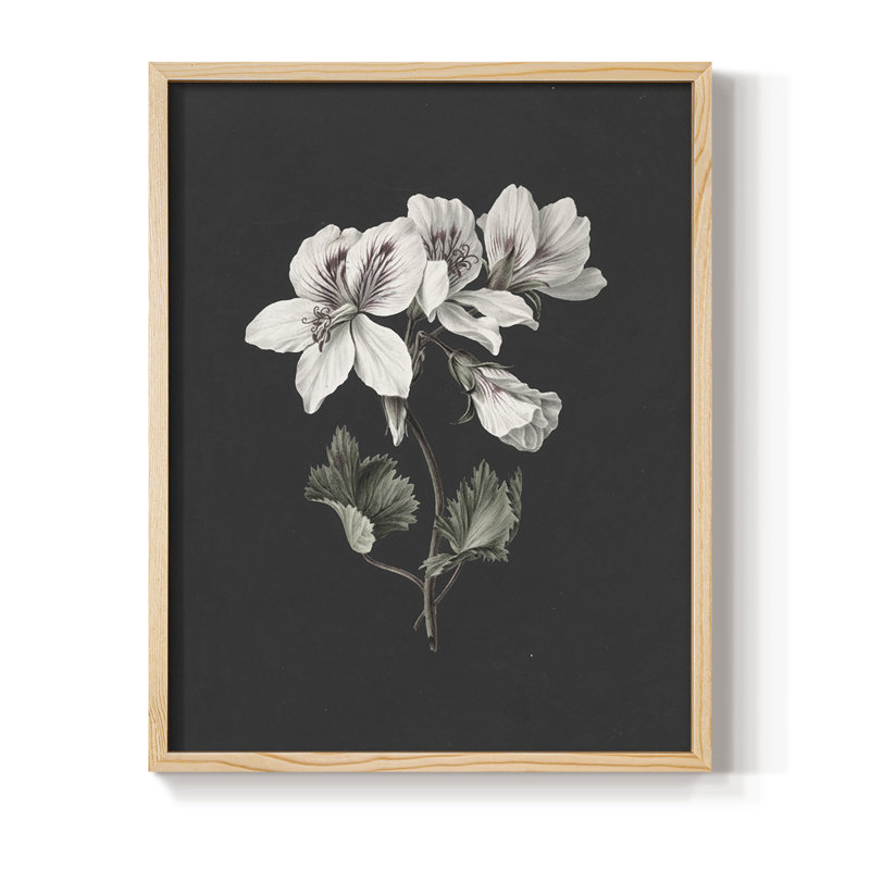 Impression florale vintage encadrée CLII - bois massif, Naturel, H 30 po x l 24 po